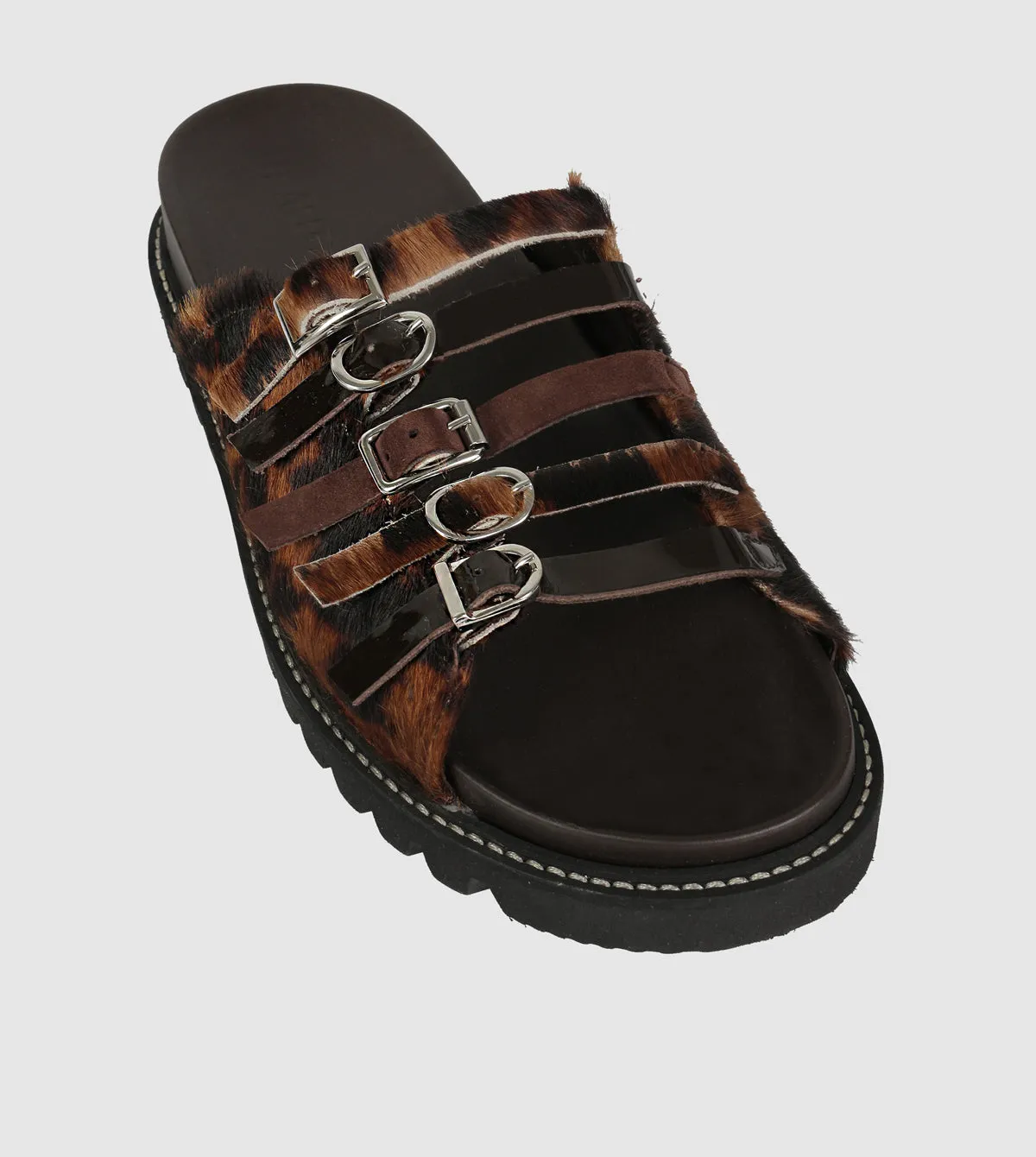 Gaia Slides by Beau Coops