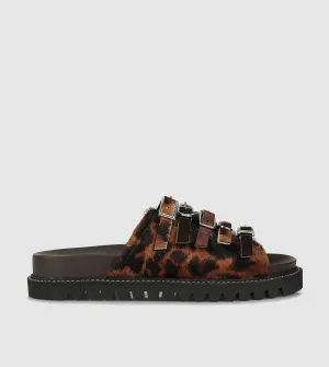 Gaia Slides by Beau Coops